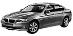 BMW F10 P1D8D Fault Code